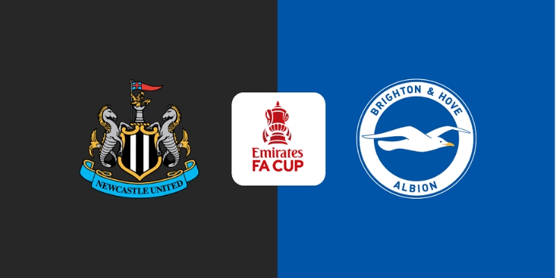 Brighton & Hove Albion vs Newcastle United